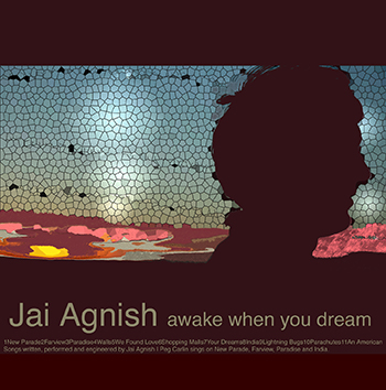 Jai Agnish Awake When You Dream album cover